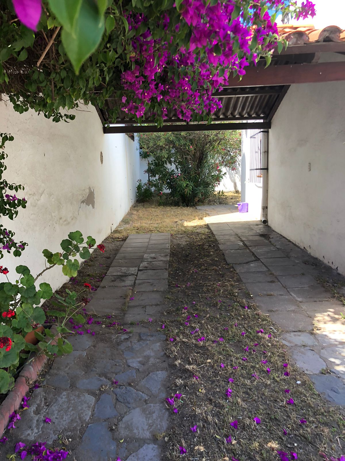 WhatsApp_Image_2021-12-08_at_20.12.05_(9)